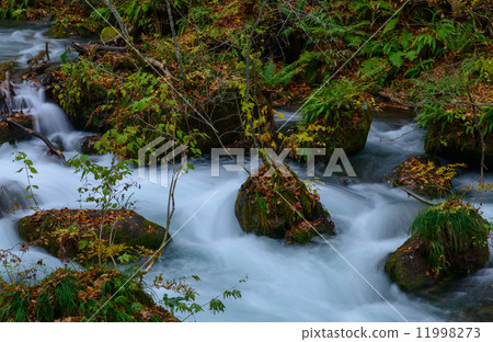 秋天Oirase山流 秋天Oirase山流 11998273