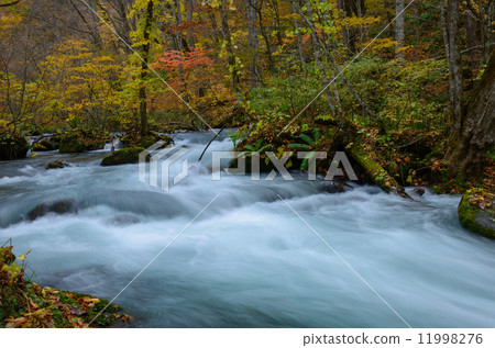 秋天Oirase山流 秋天Oirase山流 11998276