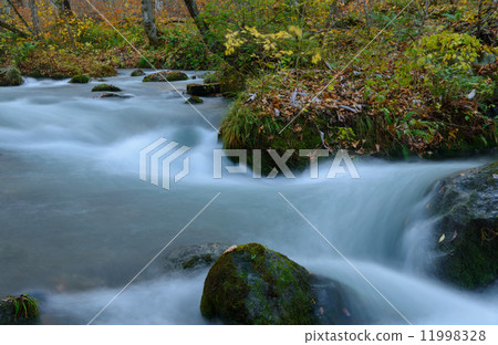 秋天Oirase山流 11998328