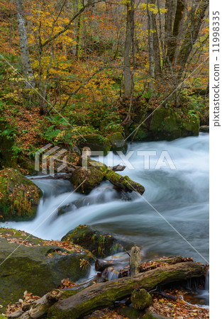 秋天Oirase山流 秋天Oirase山流 11998335