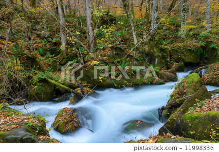 秋天Oirase山流 秋天Oirase山流 11998336