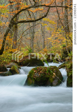 秋天Oirase山流 秋天Oirase山流 11998341