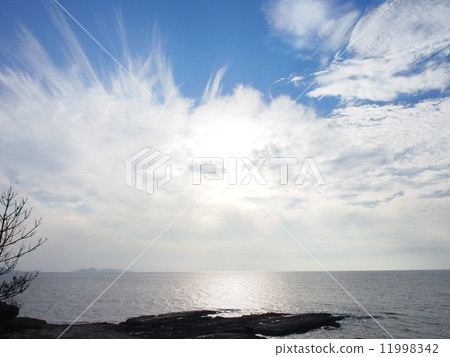 Myoki Saito Myoki Saito 11998342