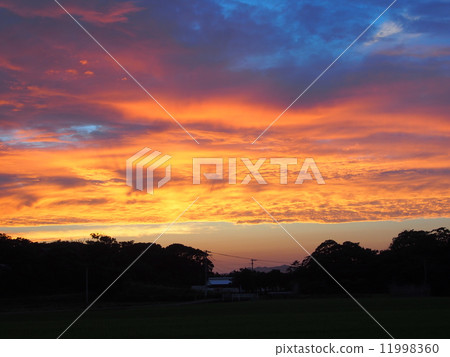 Sunset Sunset 11998360