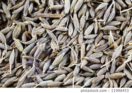Cumin 11998453