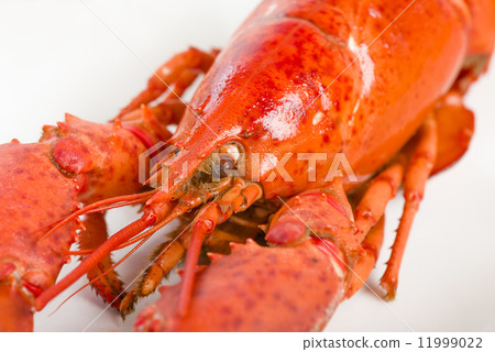 Lobster with lemon wedges. 11999022