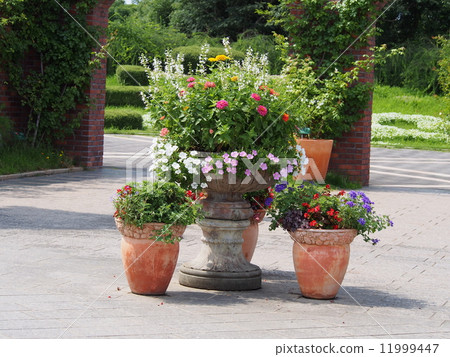 Flowers planted in various flower pots 11999447