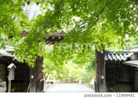 Horinji的Hiragori-san Yamen門,夏天風景 Horinji的Hiragori-san Yamen門,夏天風景 11999491
