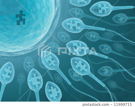 Fecundation Fecundation 11999715