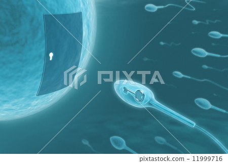 Smart Sperm 11999716