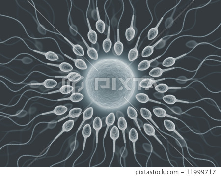 Fecundation Fecundation 11999717