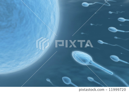 Procreation 11999720