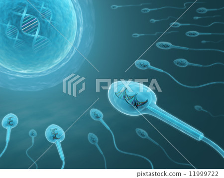 DNA Sperm DNA Sperm 11999722