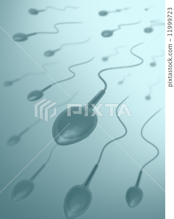 Sperm 11999723