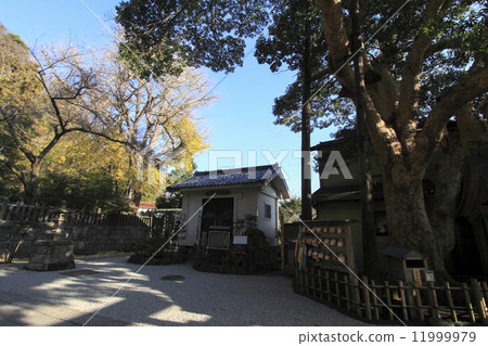 Late autumn of the Holy Spirit Shrine 11999979