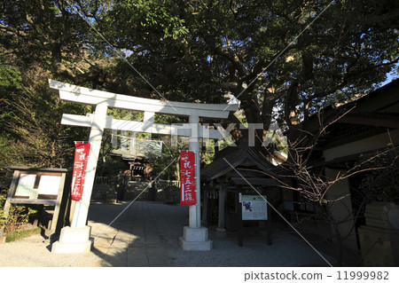 Shichigosan of the Holy Spirit Shrine 11999982