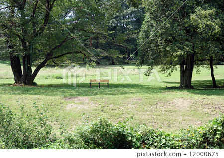 Tokyo Metropolitan Nogawa Park (near Yanagibashi) 12000675