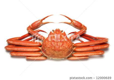 煮雪蟹 煮雪蟹 12000689