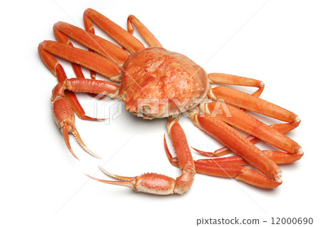 Boiled snow crab Boiled snow crab 12000690