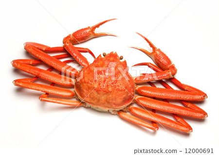 雪蟹 雪蟹 12000691