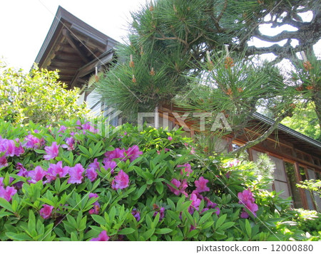 種植花卉周圍的舊私人住宅 種植花卉周圍的舊私人住宅 12000880