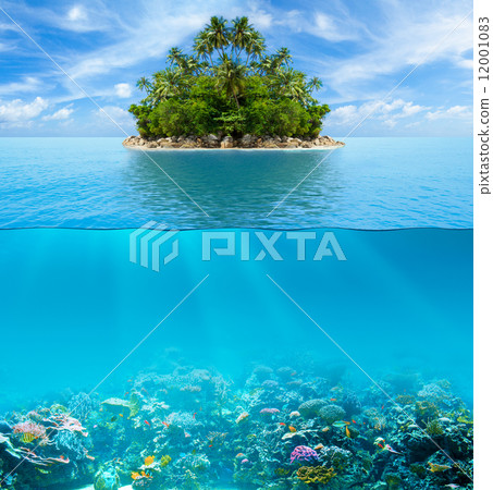 Underwater coral reef seabed and water surface with tropical isl Underwater coral reef seabed and water surface with tropical isl 12001083