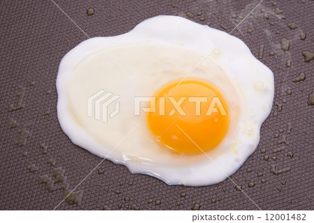 Fried egg Fried egg 12001482