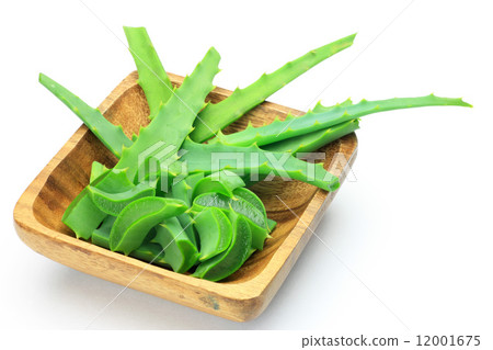 蘆薈 12001675