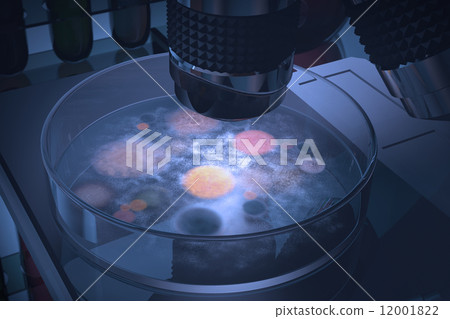 Petri Dish Bacteria 12001822