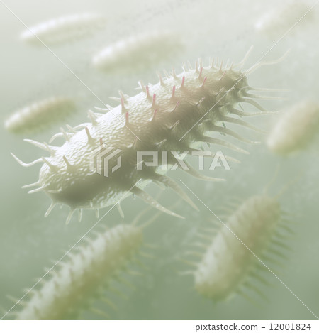 Bacteria Bacteria 12001824