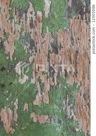 Wood Green 12003086