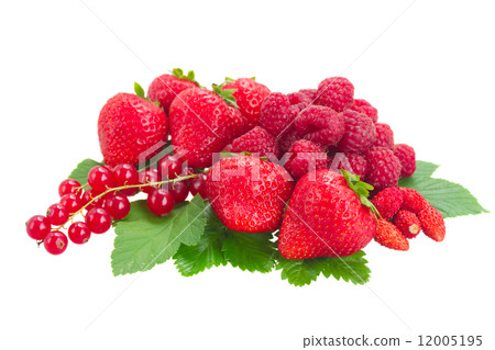 fresh red berries fresh red berries 12005195