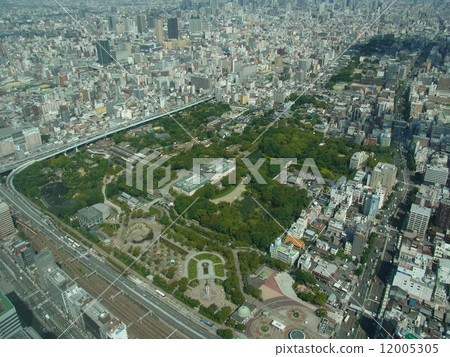 Abeno Harkus (overlooking Tennoji Park) Abeno Harkus (overlooking Tennoji Park) 12005305