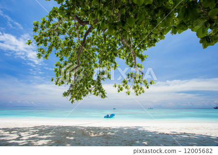 Island tour 12005682