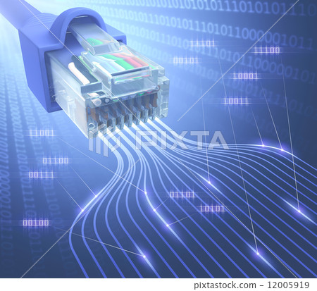 RJ45 Network Binary 12005919