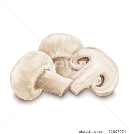 Champignon mushrooms isolated 12007074
