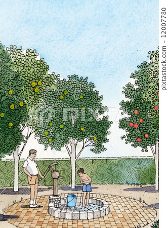 果樹收穫剪影家庭婦女 12007780