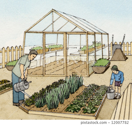 Household vegetable garden agriculture illustration 12007782