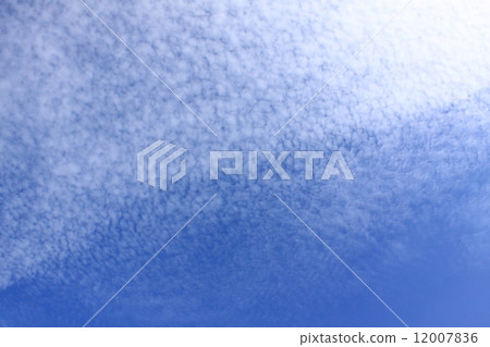 雲秤 雲秤 12007836