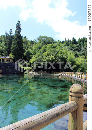 Spring-fed pond_ Maruike spring spring 12007861