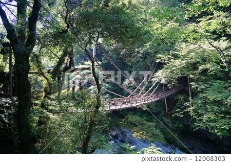 Iya Gorge or even a bridge Iya Gorge or even a bridge 12008303