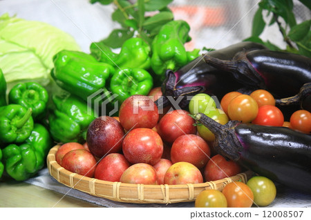 夏季蔬菜 12008507