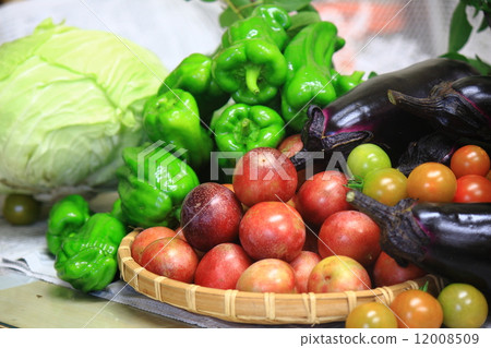 新鮮蔬菜 12008509