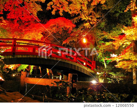 Autumn leaves of Kitano Tenman-gu Shrine Autumn leaves of Kitano Tenman-gu Shrine 12008550