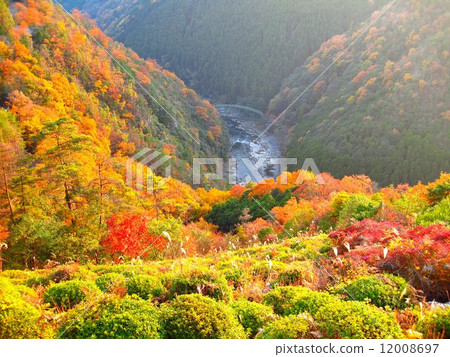 Autumn leaves of Kyoto Hozu Gorge 12008697