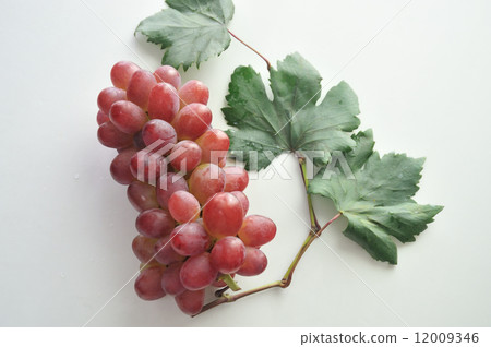 葡萄（Kaiji） 12009346