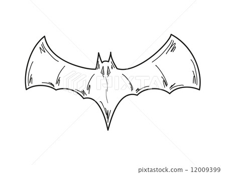 sketch of the bat sketch of the bat 12009399