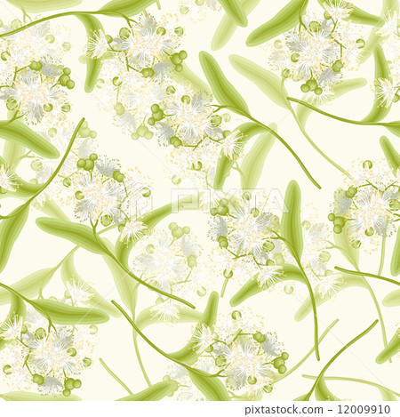 Linden seamless background Linden seamless background 12009910