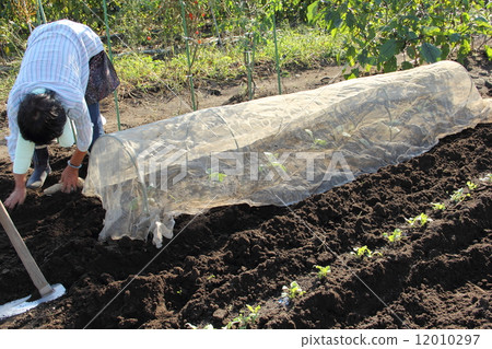 Farm work Farm work 12010297