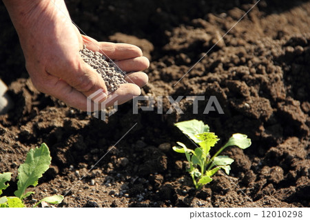 fertilizer fertilizer 12010298
